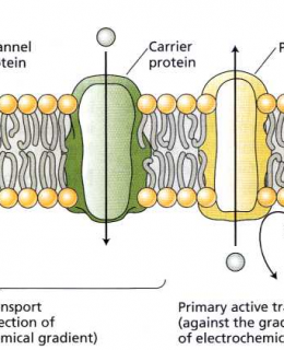 fig6.7